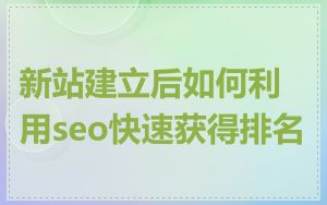 新站建立后如何利用seo快速获得排名
