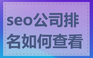 seo公司排名如何查看