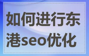 如何进行东港seo优化