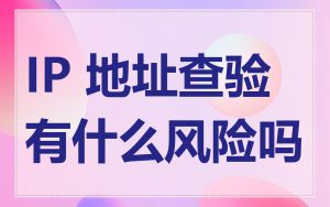 IP 地址查验有什么风险吗