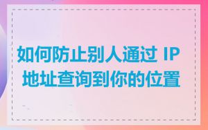 如何防止别人通过 IP 地址查询到你的位置