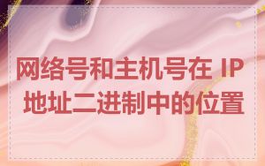 网络号和主机号在 IP 地址二进制中的位置