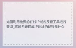 如何利用免费的在线IP域名反查工具进行查询_将域名转换成IP地址的过程是什么