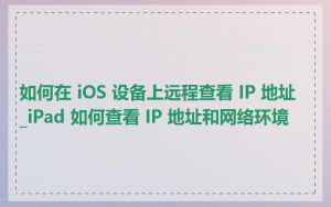 如何在 iOS 设备上远程查看 IP 地址_iPad 如何查看 IP 地址和网络环境