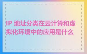 IP 地址分类在云计算和虚拟化环境中的应用是什么