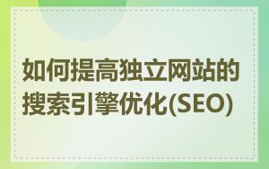如何提高独立网站的搜索引擎优化(SEO)