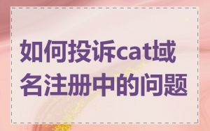 如何投诉cat域名注册中的问题