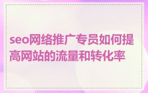 seo网络推广专员如何提高网站的流量和转化率