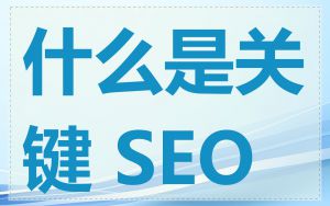 什么是关键 SEO