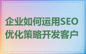 企业如何运用SEO优化策略开发客户