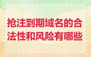 抢注到期域名的合法性和风险有哪些