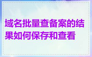 域名批量查备案的结果如何保存和查看