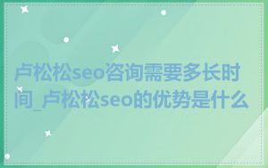 卢松松seo咨询需要多长时间_卢松松seo的优势是什么