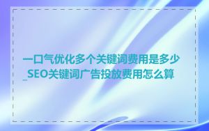 一口气优化多个关键词费用是多少_SEO关键词广告投放费用怎么算