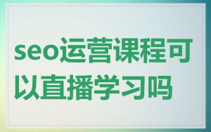 seo运营课程可以直播学习吗