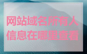 网站域名所有人信息在哪里查看
