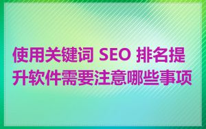使用关键词 SEO 排名提升软件需要注意哪些事项
