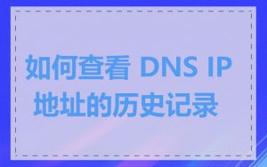 如何查看 DNS IP 地址的历史记录