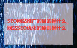 SEO网站推广的目的是什么_网站SEO优化的原则是什么