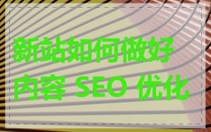 新站如何做好内容 SEO 优化
