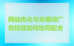 网站优化与关键词广告投放如何协同配合