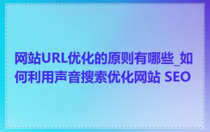网站URL优化的原则有哪些_如何利用声音搜索优化网站 SEO