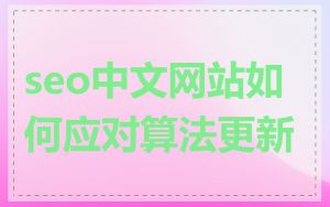 seo中文网站如何应对算法更新