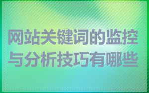 网站关键词的监控与分析技巧有哪些
