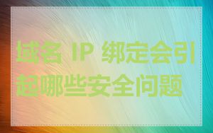 域名 IP 绑定会引起哪些安全问题