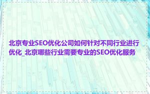 北京专业SEO优化公司如何针对不同行业进行优化_北京哪些行业需要专业的SEO优化服务