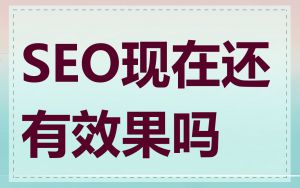 SEO现在还有效果吗