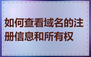 如何查看域名的注册信息和所有权