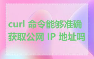 curl 命令能够准确获取公网 IP 地址吗