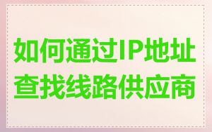 如何通过IP地址查找线路供应商
