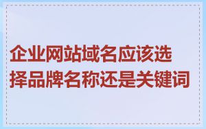 企业网站域名应该选择品牌名称还是关键词