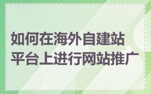 如何在海外自建站平台上进行网站推广