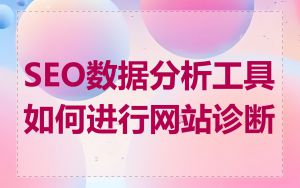 SEO数据分析工具如何进行网站诊断
