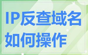 IP反查域名如何操作