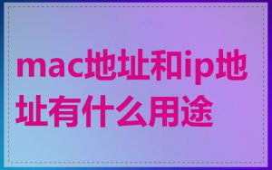 mac地址和ip地址有什么用途