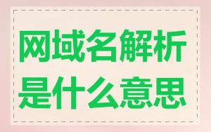 网域名解析是什么意思