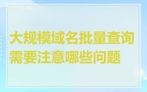 大规模域名批量查询需要注意哪些问题