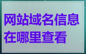 网站域名信息在哪里查看