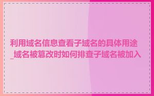 利用域名信息查看子域名的具体用途_域名被篡改时如何排查子域名被加入
