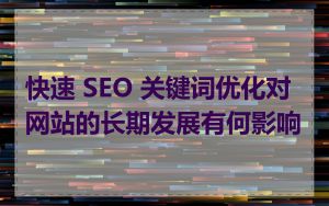 快速 SEO 关键词优化对网站的长期发展有何影响
