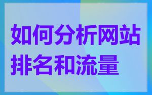 如何分析网站排名和流量