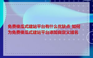 免费傻瓜式建站平台有什么优缺点_如何为免费傻瓜式建站平台添加自定义域名