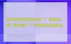 如何控制好竞价推广广告的花费_竞价推广广告创意如何优化