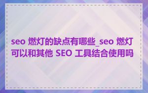 seo 燃灯的缺点有哪些_seo 燃灯可以和其他 SEO 工具结合使用吗