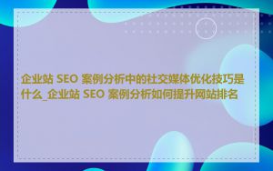 企业站 SEO 案例分析中的社交媒体优化技巧是什么_企业站 SEO 案例分析如何提升网站排名