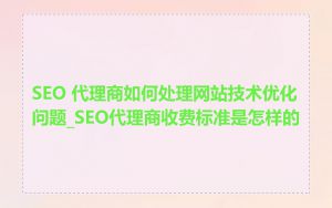 SEO 代理商如何处理网站技术优化问题_SEO代理商收费标准是怎样的